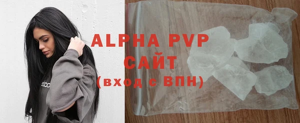 прущие грибы Зерноград