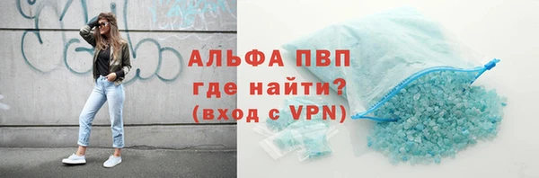прущие грибы Зерноград