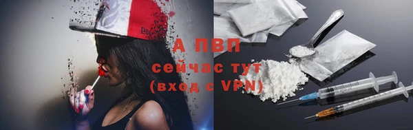 прущие грибы Зерноград