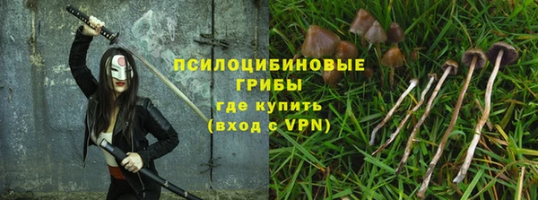 прущие грибы Зерноград