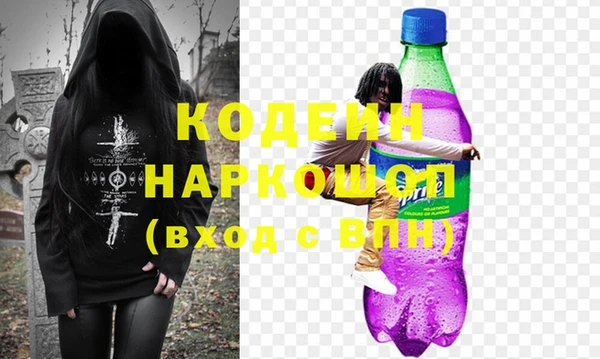 шишки Инсар