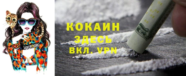 шишки Инсар