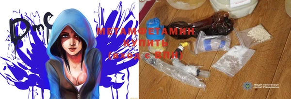 шишки Инсар