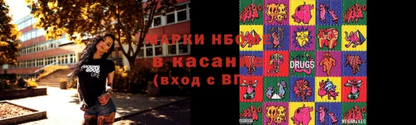 прущие грибы Зерноград